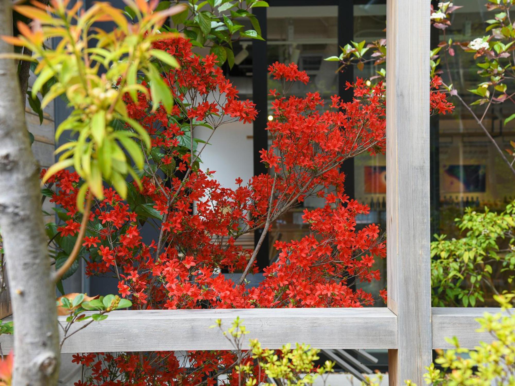 Ref Kyoto Hachijoguchi By Vessel Hotels Eksteriør bilde